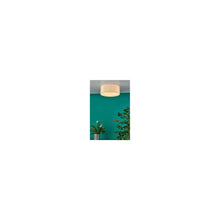 Cierro 3-Light Flush Mount