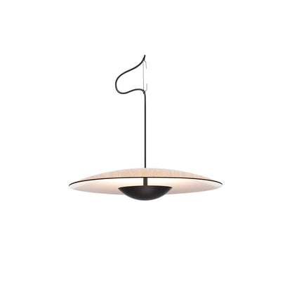 Ginger 32 LED Pendant