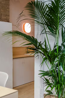 Guijarro Large Wall & Ceiling Light