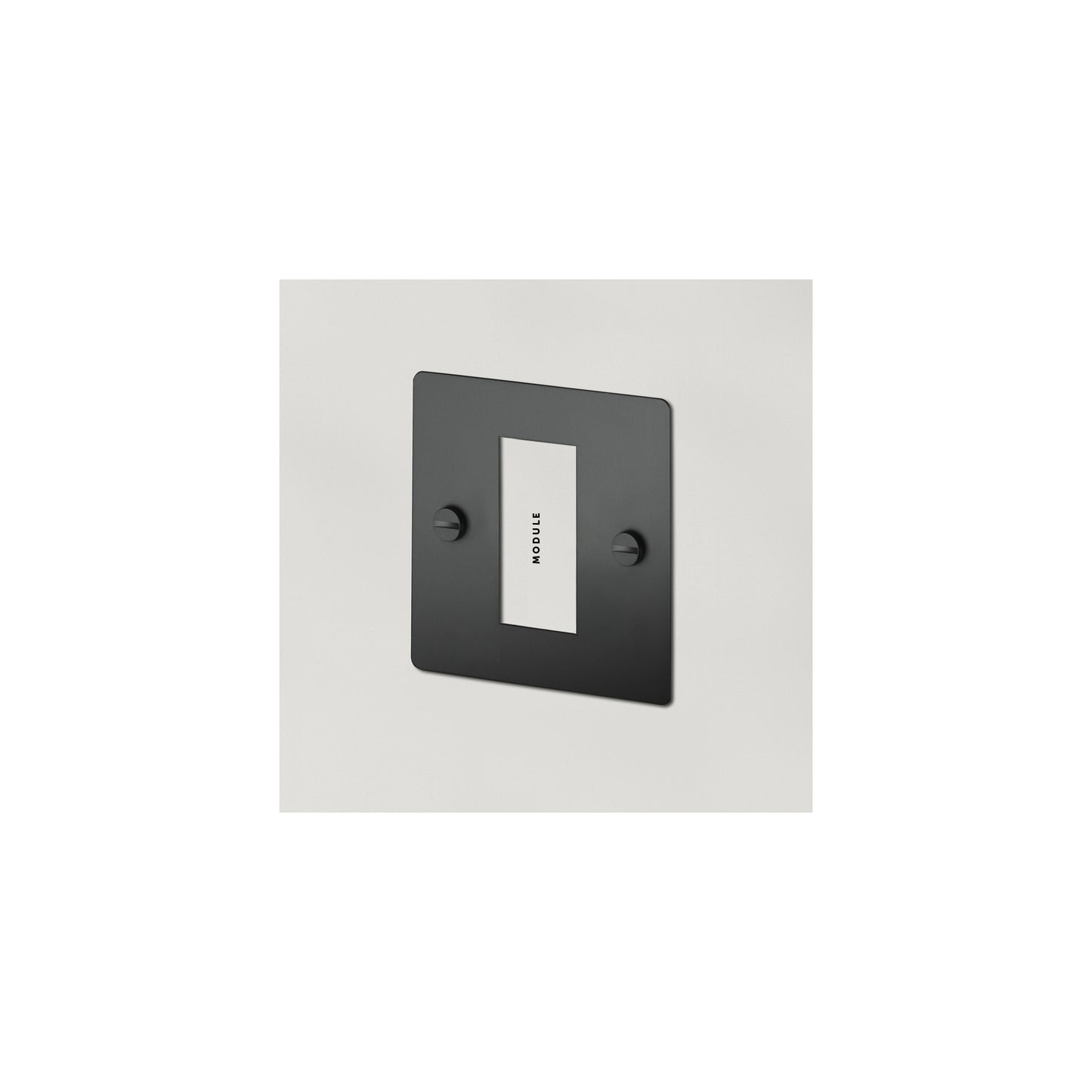 1G Euro Plate 1 Module