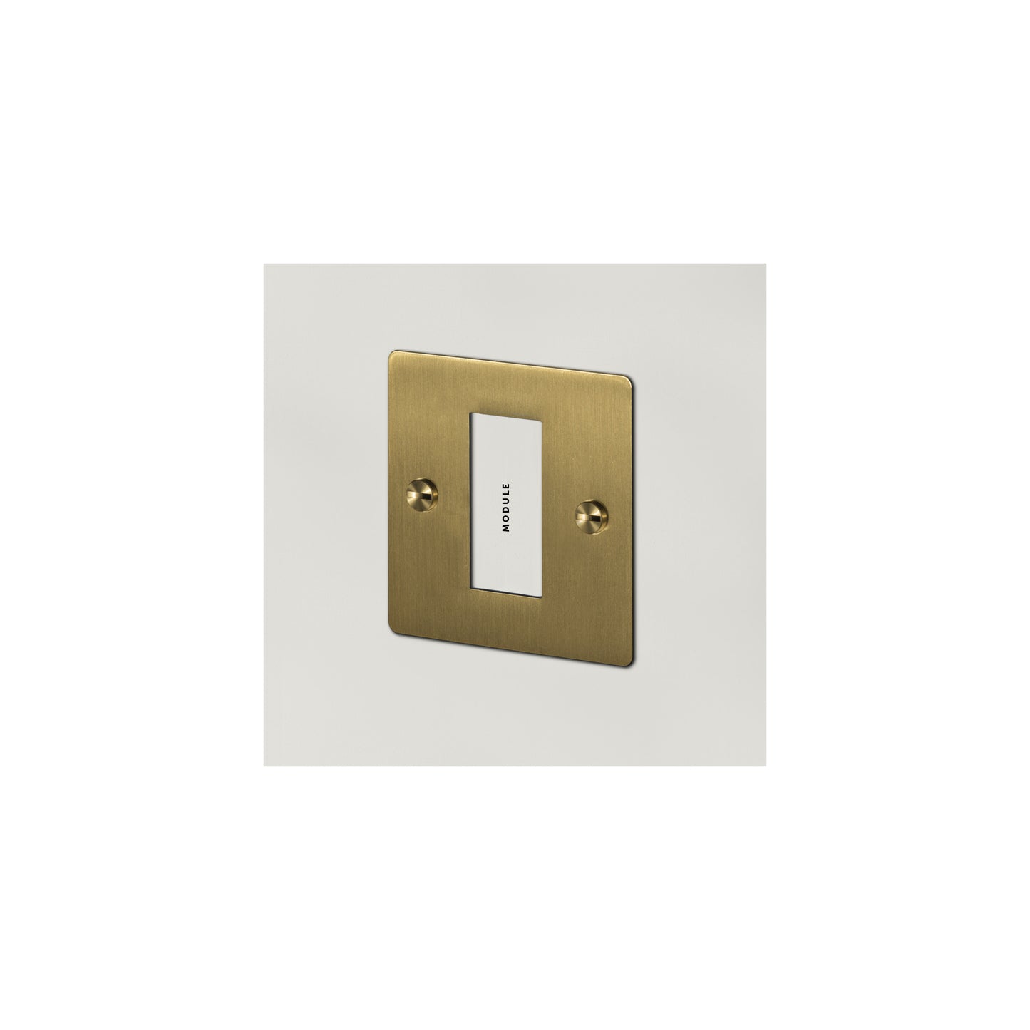 1G Euro Plate 1 Module