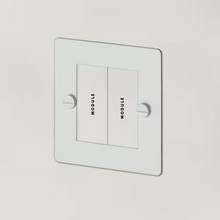 1G Euro Plate 2  Module