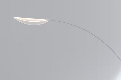 Diphy Floor Lamp
