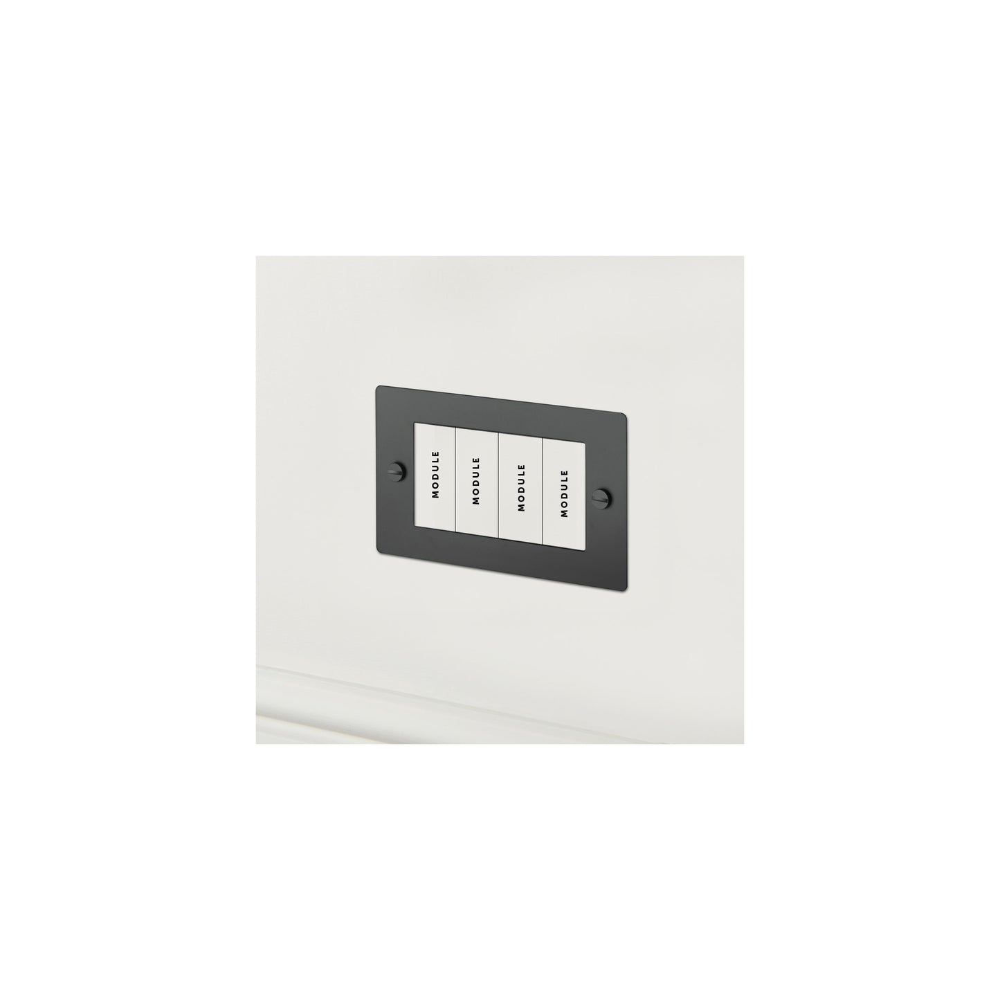 2G Euro Plate 4  Module