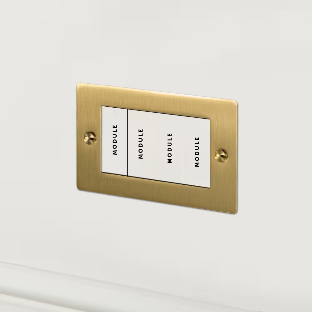 2G Euro Plate 4  Module