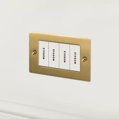 2G Euro Plate 4  Module