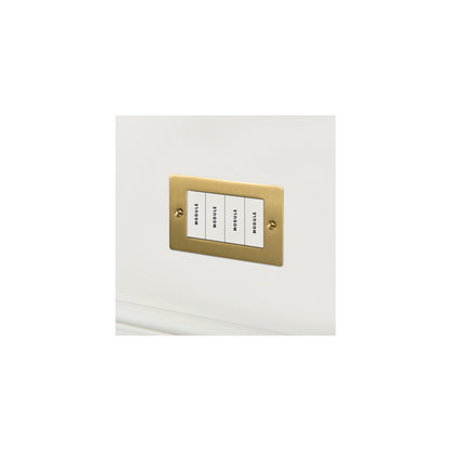 2G Euro Plate 4  Module