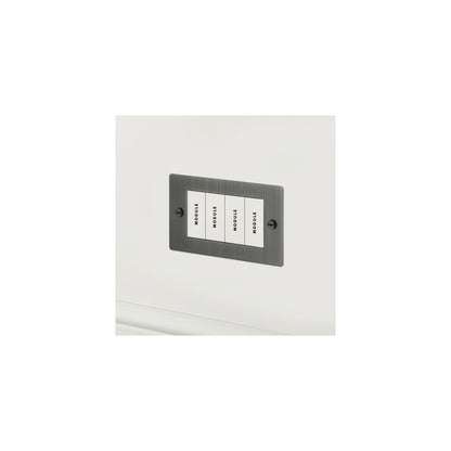 2G Euro Plate 4  Module