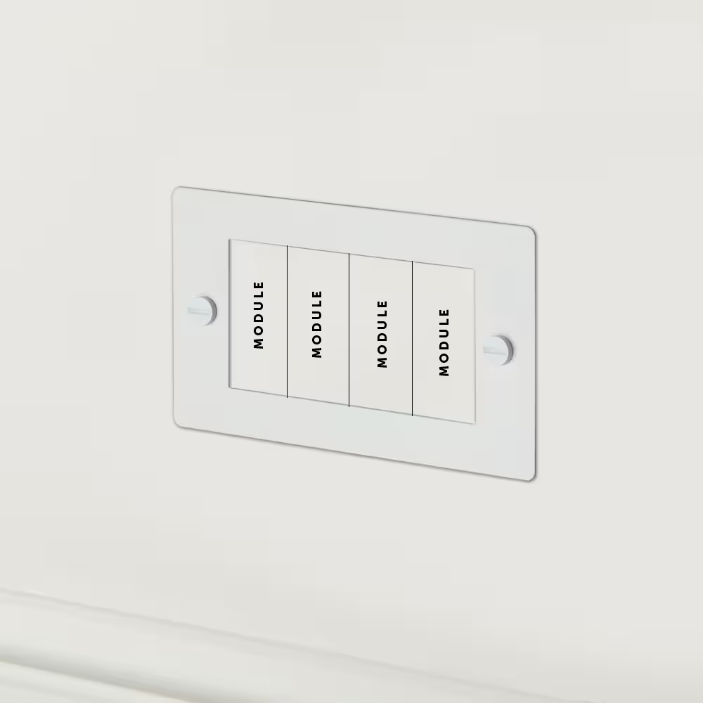 2G Euro Plate 4  Module