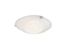 Petri 30 Ceiling Light White