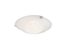 Petri 30 Ceiling Light White