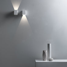 Astro Parma Wall Washer