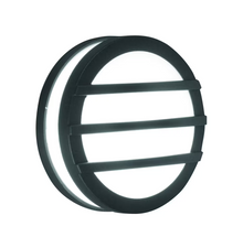 1-Light Wall/Ceiling Lantern