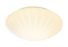 Cafe Small Flush Mount in Frosted Glass