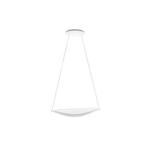 Diphy LED Pendant in White