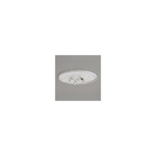 Bevel 4 way plate