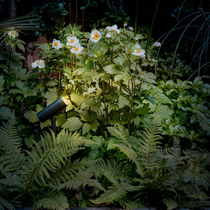 Astro Myos Outdoor Ground Spotlight