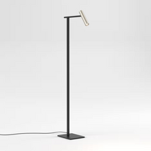 Leda Floor Lamp in Matt Black