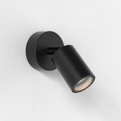 Dartmouth Single Spotlight