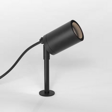 Dartmouth Spike Spotlight