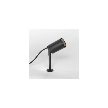 Dartmouth Spike Spotlight