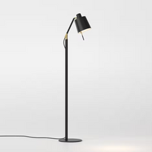 Edward Floor Lamp in Matt Black and Matt Gold