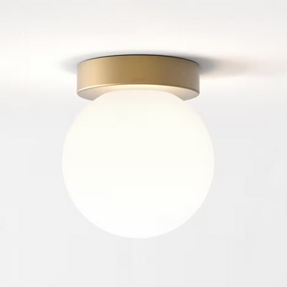 Tacoma Surface Ceiling Light