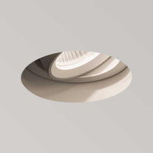 Astro Trimless Round Adjustable Downlight