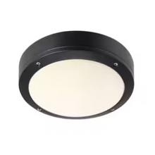 Desi 22 Outdoor Ceiling Light