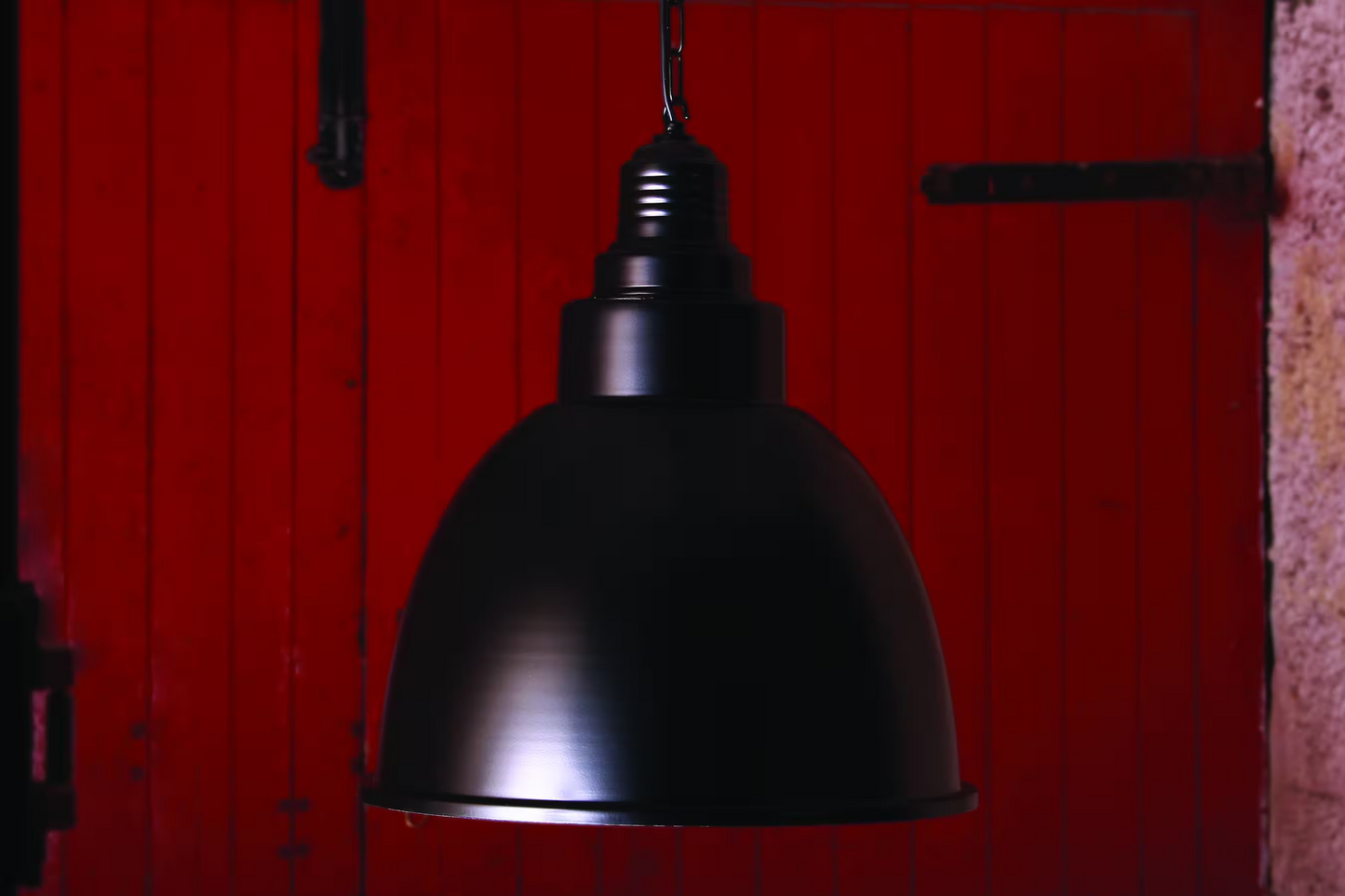 Danicaans 250mm Globe Pendant