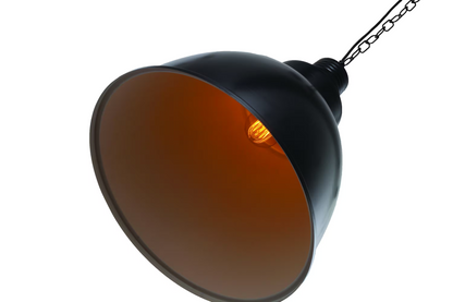 Danicaans 250mm Globe Pendant