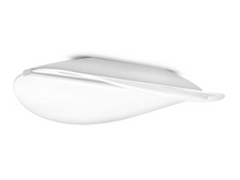 Diphy LED Wall & Ceiling Light in White