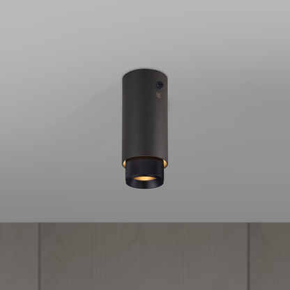 Exhaust Cross Surface Downlight with Detail Kit