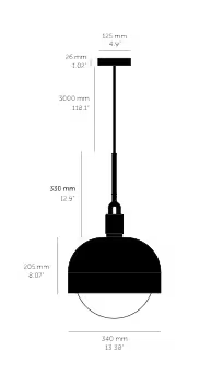 Forked Shade Pendant with Glass
