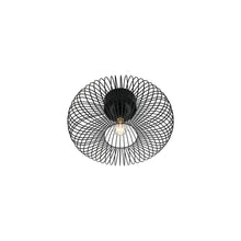 Beroni Ceiling Light in Black