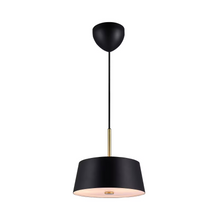 Clasi Pendant