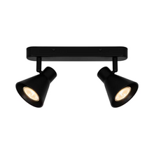 Eik 2 Ceiling Spot Light