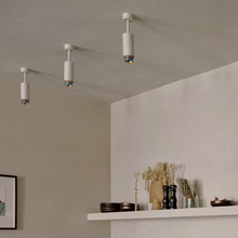 Exhaust Linear Ceiling Spotlight