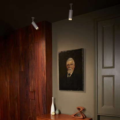 Exhaust Linear Ceiling Spotlight