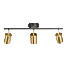 Explore 3 Ceiling Spot Light