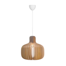 Hazo Pendant