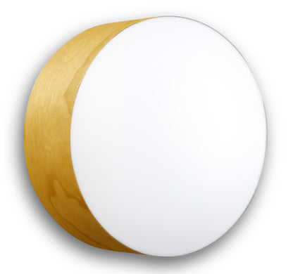 LZF Gea Surface/Flush Wall & Ceiling Light