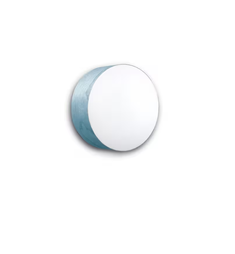 Gea Medium Wall & Ceiling Light