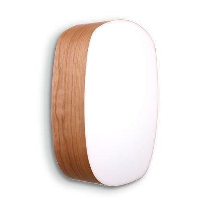 LZF Guijarros Wall & Ceiling Light