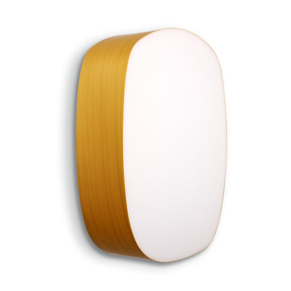LZF Guijarros Wall & Ceiling Light