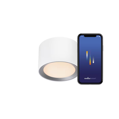 Landon Smart Ceiling Light