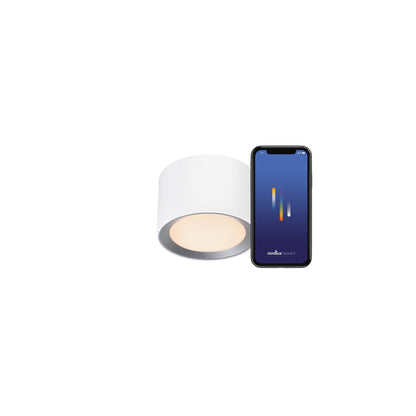 Landon Smart Ceiling Light