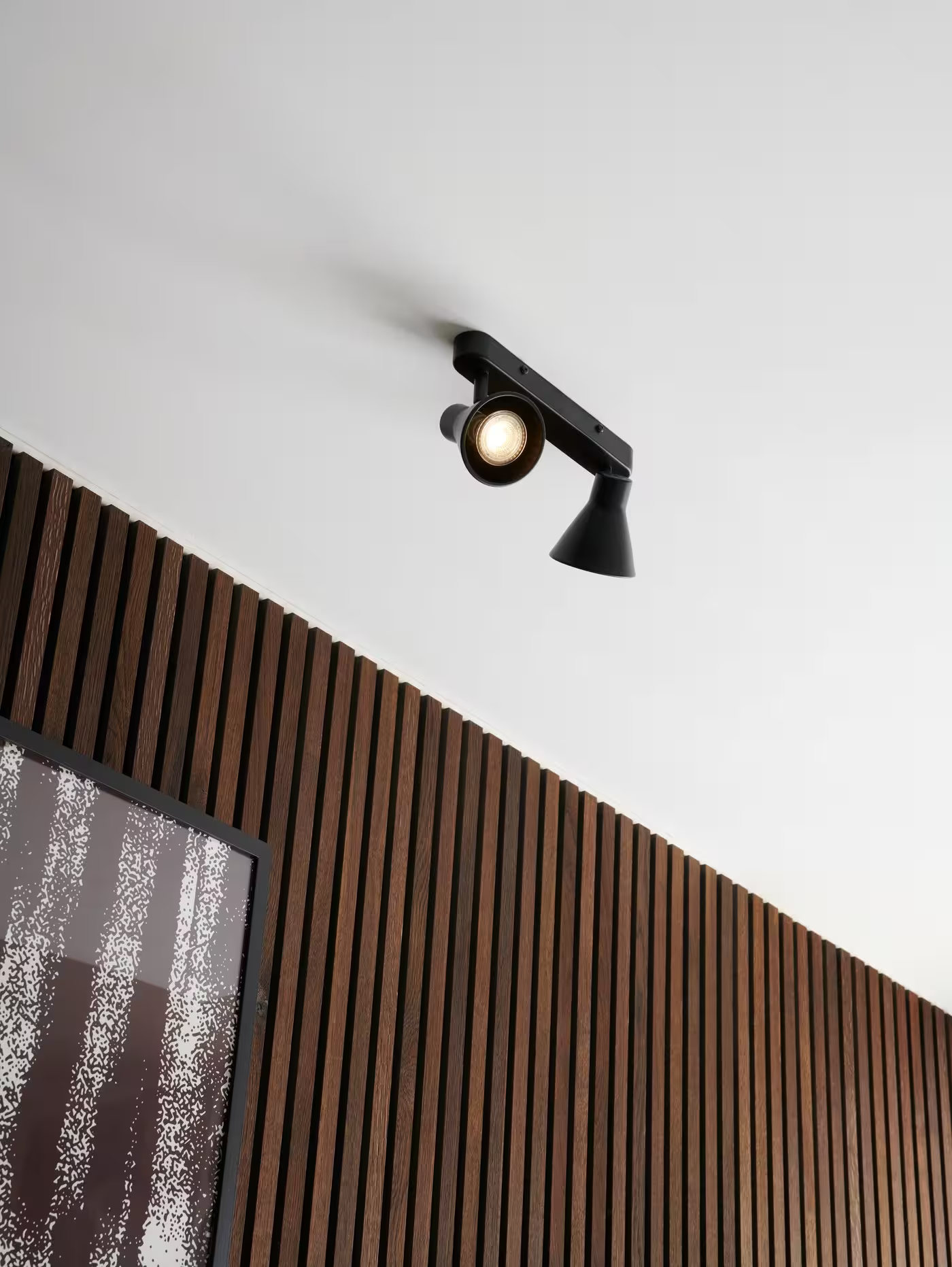 Eik 2 Ceiling Spot Light