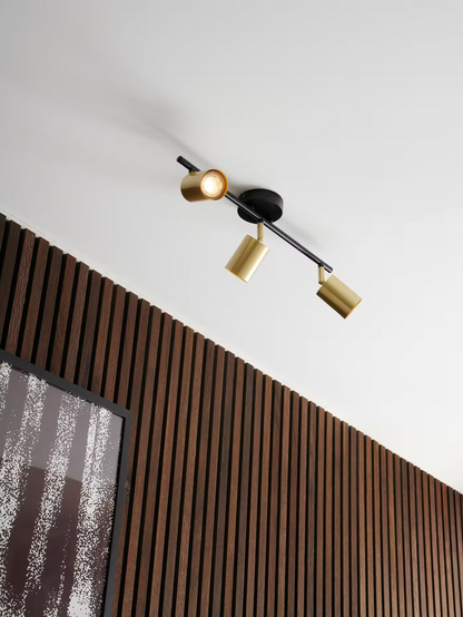 Explore 3 Ceiling Spot Light
