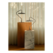 Artist Table lamp